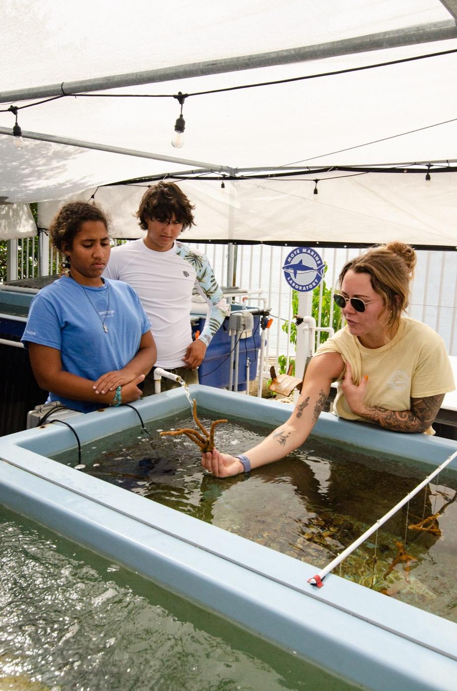 Youth participants learning coral science in the field