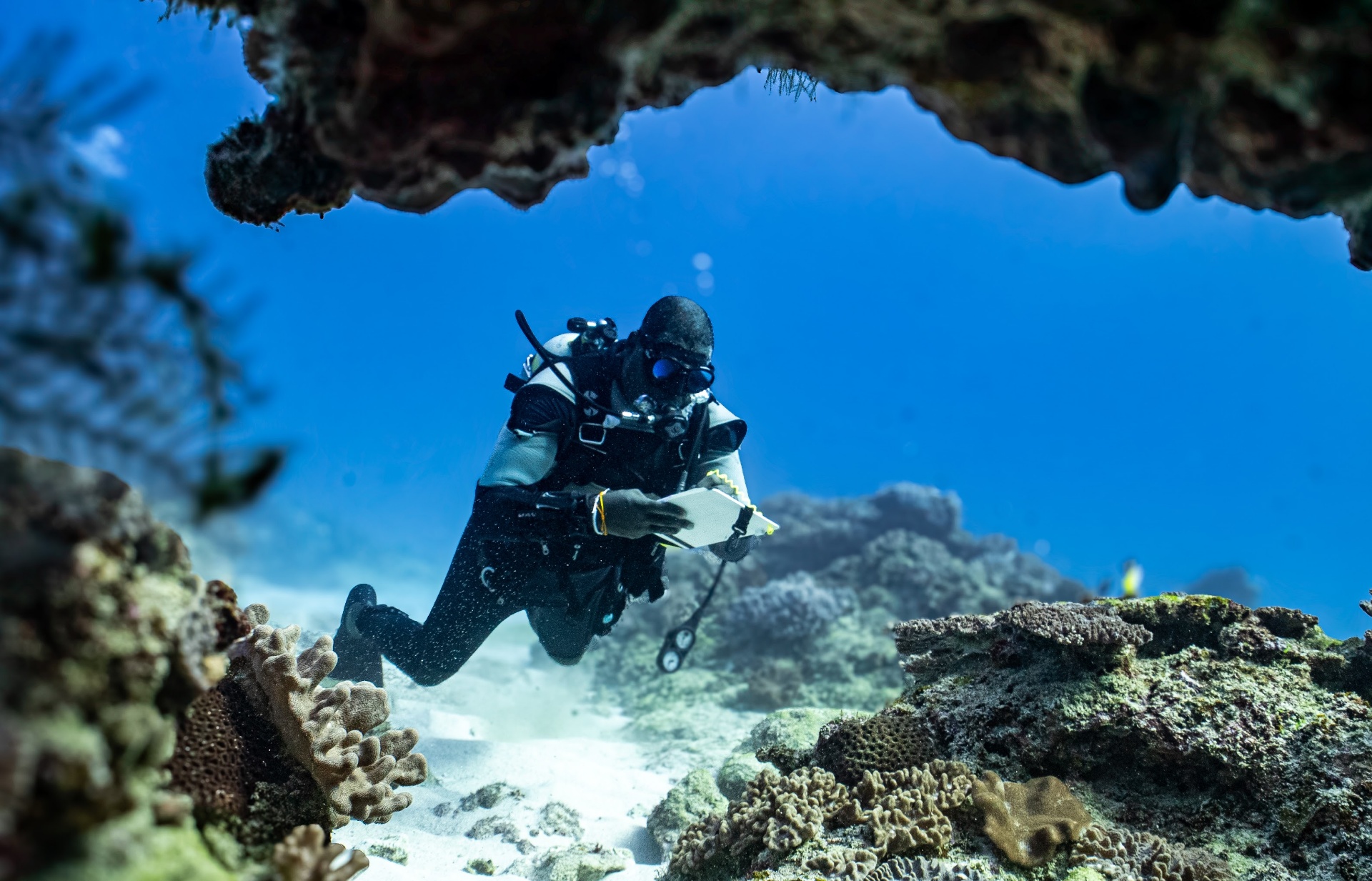 Conservation diver documenting a coral reef